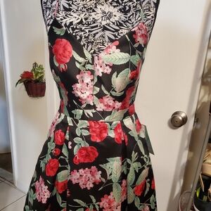 Tailored structured floral with lace back high low Cocktail dress wd side pocket